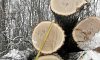 На Київщині шахраї ошукали 70 людей на понад 536 тис. грн під виглядом продажу деревини