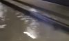 Що ховається за масштабною аварією на лінії метро Либідська — Теремки — відповідь експерта