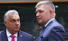 Чому Орбан та Фіцо блокують 50 млрд євро допомоги Україні — відповідь експерта