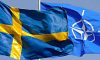 Туреччина веде торги, — Палій про відтягнення передачі протоколу про вступ Швеції до НАТО