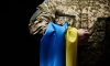 Україна повернула тіла ще 44 полеглих захисників