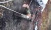 У мережі з’явилося фото та відео тортур над бійцем ЗСУ