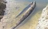 В Україні знайшли човен, якому близько 500 років (ФОТО)