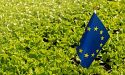 Без розвитку переробної промисловості, Україну і далі розглядатимуть, як сировинний придаток — експерт