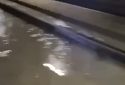 Що ховається за масштабною аварією на лінії метро Либідська — Теремки — відповідь експерта