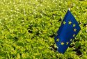 Без розвитку переробної промисловості, Україну і далі розглядатимуть, як сировинний придаток — експерт