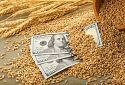 Притримати продукцію й почекати, — експерт про вирішення питання зі зниженням ціни на пшеницю
