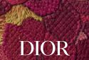 Українська художниця створила декорації до показу Dior