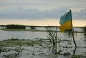 Плачевна ситуація на фронті це наслідок неготовності чиновників захищати Україну — Віталій Кулик