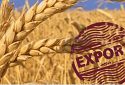 Продовольча криза: як поновити експорт зерна з України