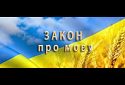 Реалізація Закону України про державну мову в індустрії краси країни