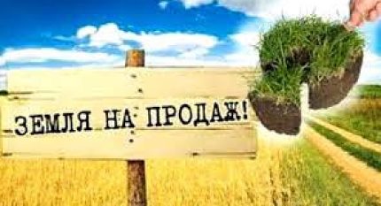 Продаж землі та надр - це 100% порушення Конституції — Шишкін