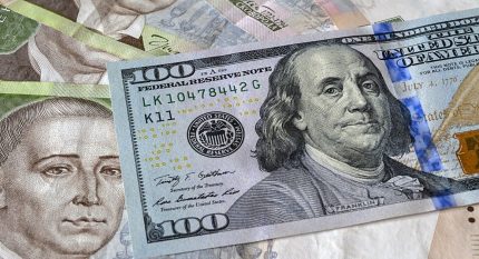 Економіст прокоментував прив’язку гривні до євро замість долара