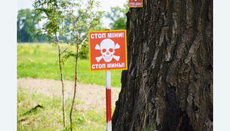 У Київській області вже знешкодили понад 52 тисячі вибухонебезпечних предметів