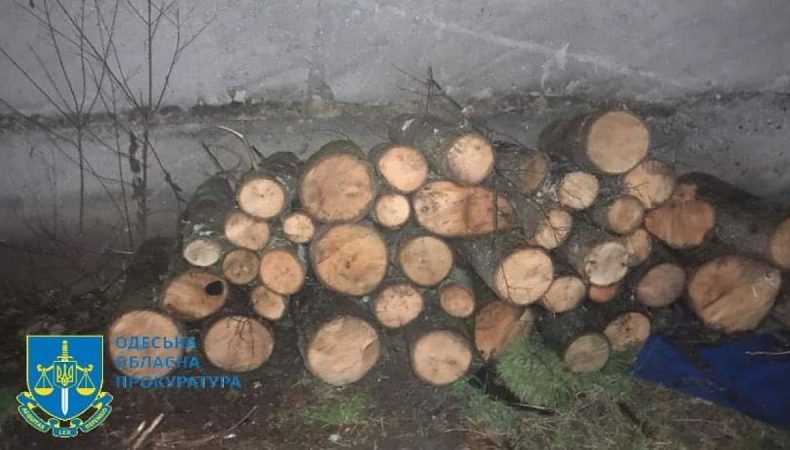 Порубка лісу на понад 1 млн грн на Одещині