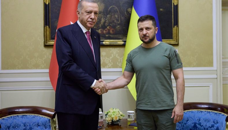 Реджеп Таїп Ердоган і Володимир Зеленський