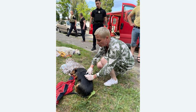 У Голосіївському районі виявили трупи собак: працюють ветеринари та правоохоронні органи