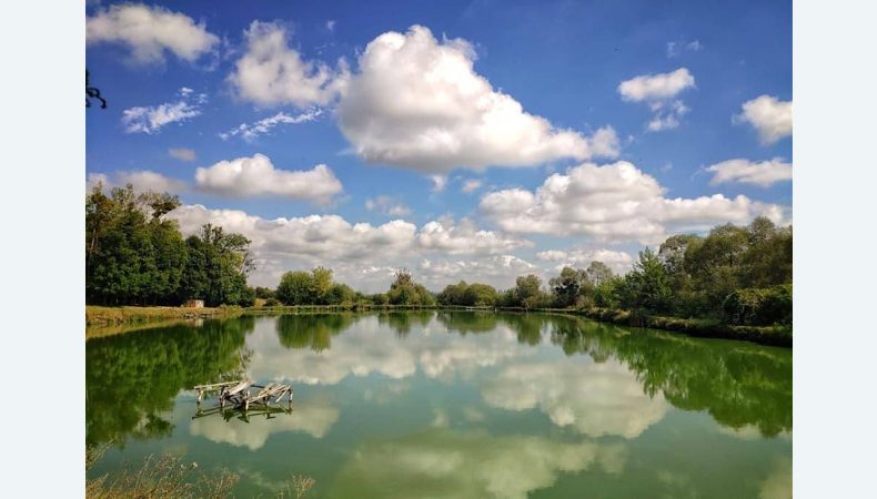 На Рівненщині сім’я фермерів надала прихисток 5 родинам переселенців