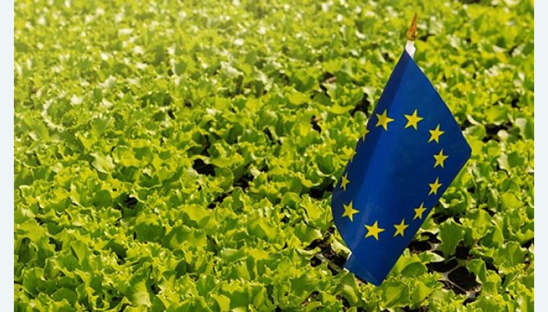 ЄС може запровадити підвищені мита на українські товари з 6 червня