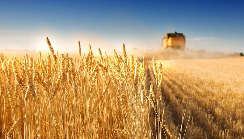 Експорт української агропродукції до країн ЄС перевищує довоєнний рівень