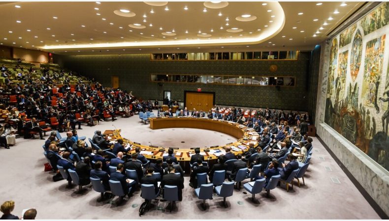 Рада безпеки ООН