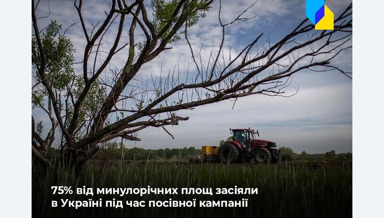 Посівна кампанія в Україні пройшла успішно, засіяно 75% від торішніх площ