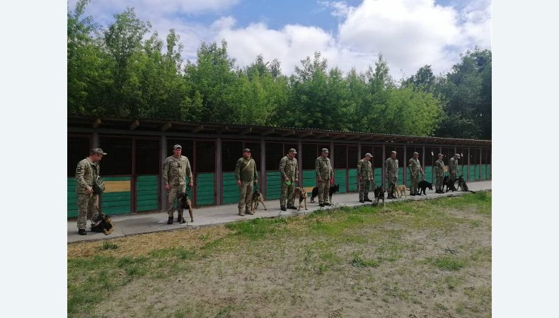 Кінологічна спілка України передала прикордонникам 14 вівчарок