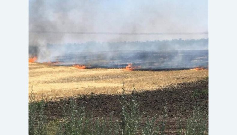 Рашисти навмисно підпалюють поля з пшеницею в Україні