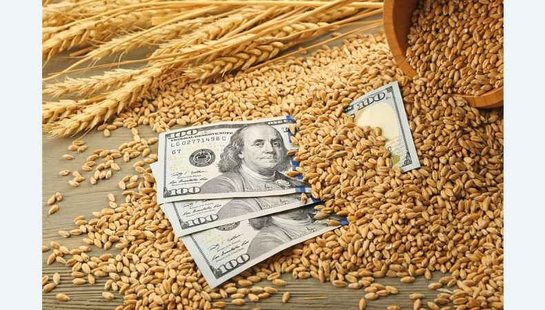 Притримати продукцію й почекати, — експерт про вирішення питання зі зниженням ціни на пшеницю
