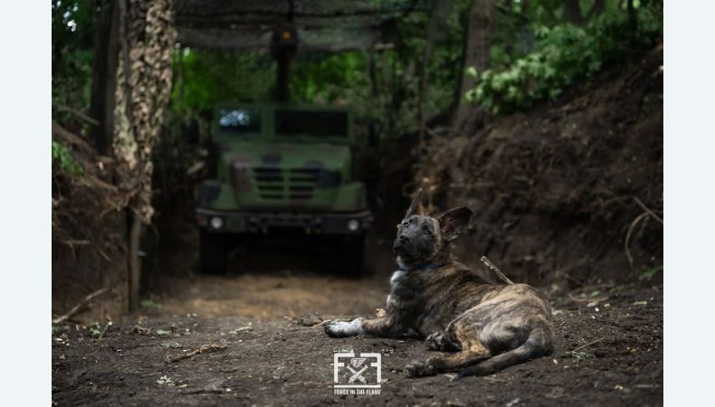 Оперативна інформація станом на 16:00 23.07.2025 щодо російського вторгнення