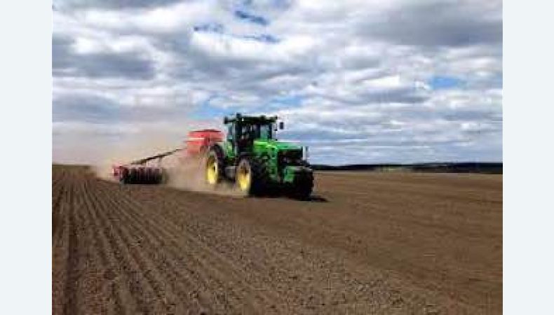 12 областей України вже завершили сівбу ярої пшениці