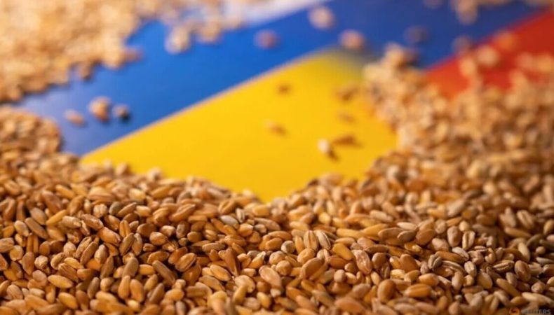 Україна експортувала понад 13 млн тонн зерна