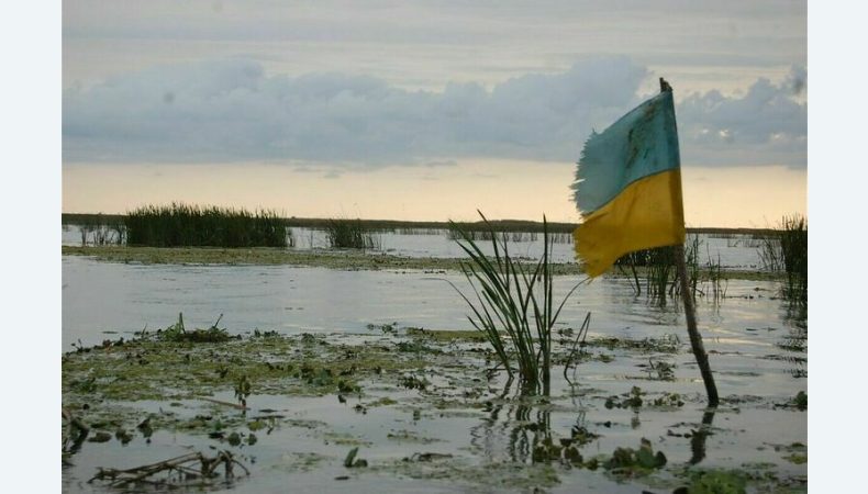 провал у мобілізаційній політиці знижує нашу обороноздатність