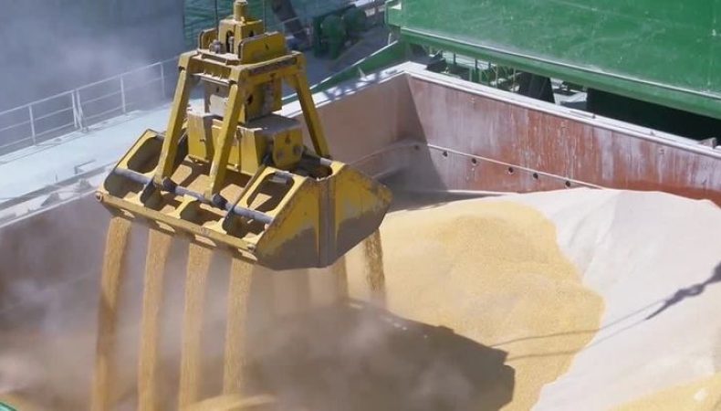 Оккупанты вывезли из зернохранилищ Луганской области 15 тыс. тонн подсолнечника и 10 тыс. тонн зерна