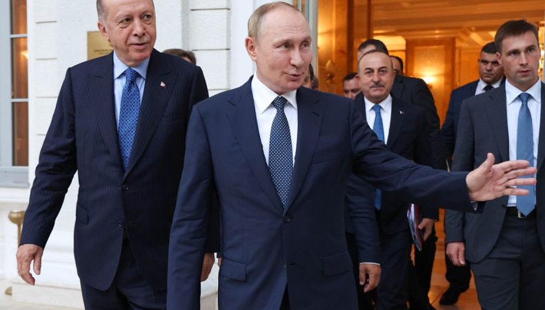 володимир путін та Раджеп Таїп Ердоган