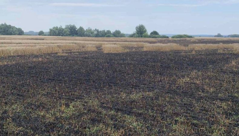 Внаслідок російського обстрілу на Сумщині згоріло поле пшениці