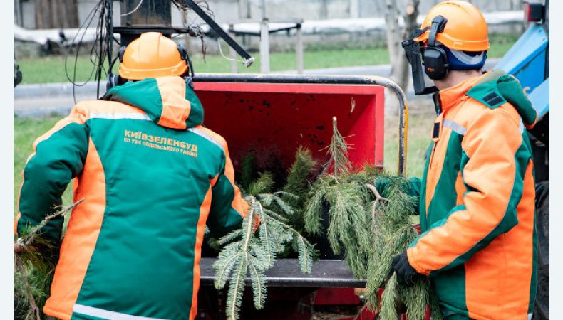 У Києві відкриваються пункти прийому новорічних дерев