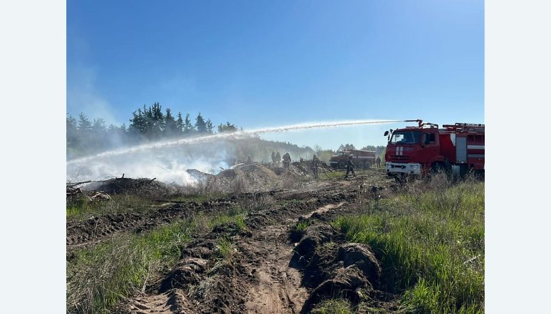 Загорання сухої трави у Зоні відчуження, яке виникло напередодні, локалізовано