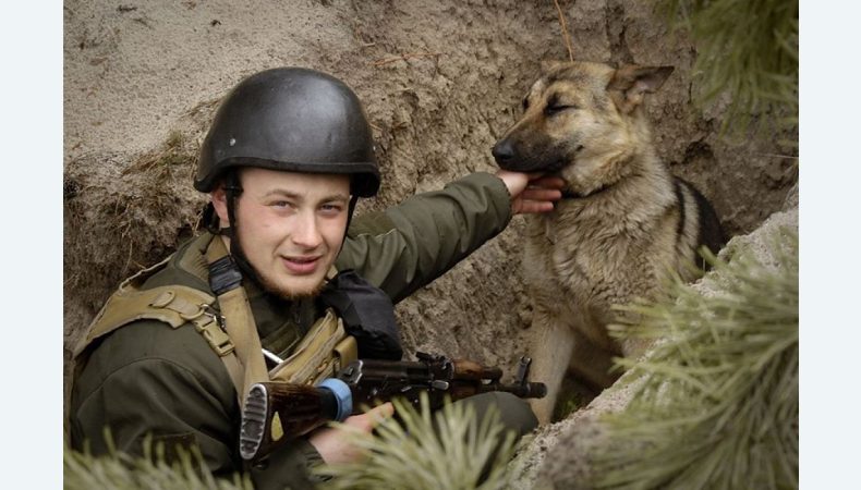 Під час бою в окоп до нацгвардійців заховався пес та залишився з бійцями: історія порятунку