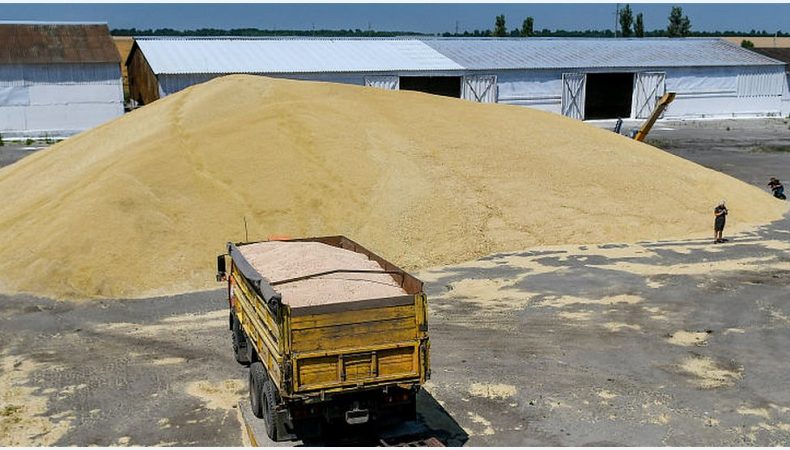 Нігерія отримає від України 25 тис. тонн зерна в межах Grain from Ukraine