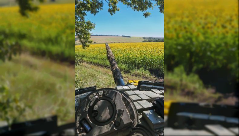 Оперативна інформація