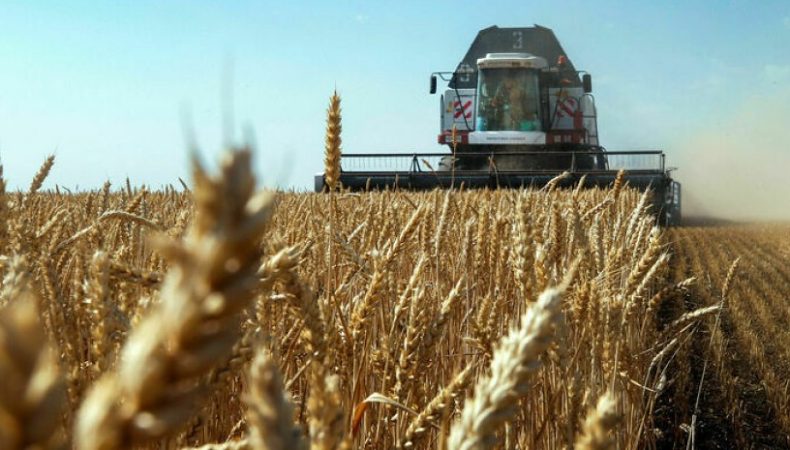 росія викрала українського зерна щонайменше на 530 мільйонів доларів