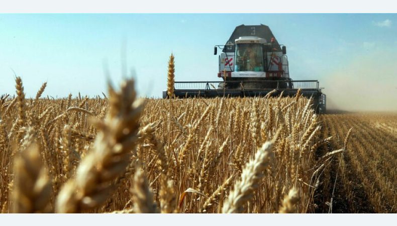 росія викрала українського зерна щонайменше на 530 мільйонів доларів