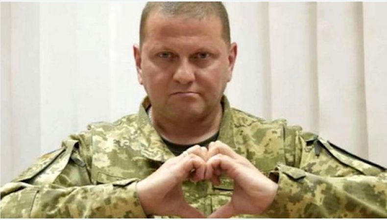 головнокомандувач ЗСУ Валерій Залужний