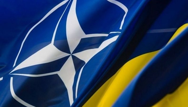 Через заявку України на вступ до НАТО можливий розкол самого Альянсу, — Жданов