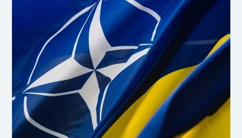 Через заявку України на вступ до НАТО можливий розкол самого Альянсу, — Жданов