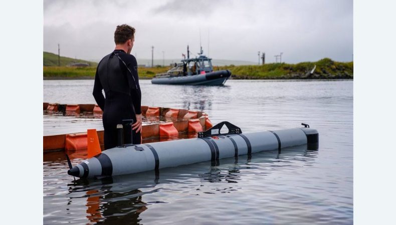 Україна отримає підводні «безпілотники» для розмінування берегової лінії