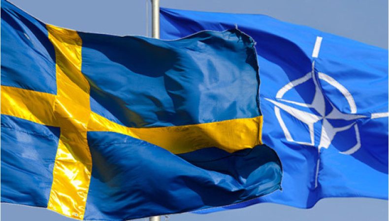 Туреччина веде торги, — Палій про відтягнення передачі протоколу про вступ Швеції до НАТО