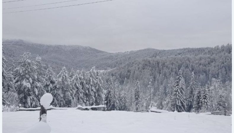 Рятувальники попереджають про сніголавинну небезпеку в горах Прикарпаття