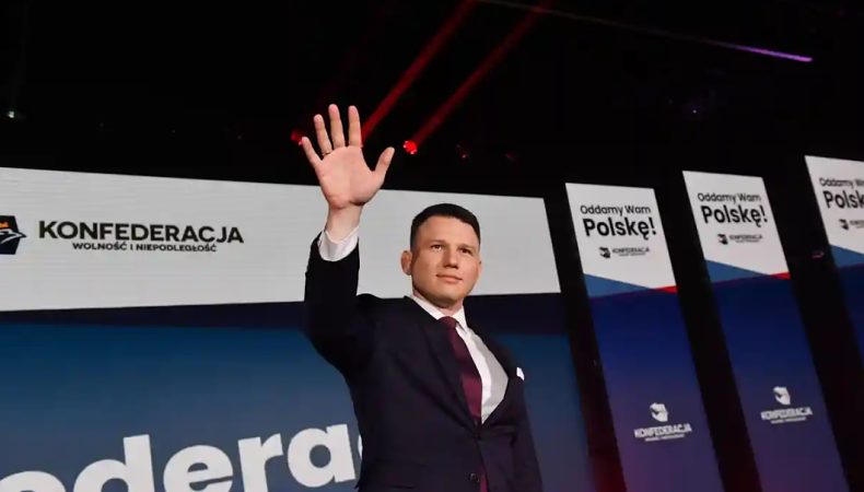 «Конфедерація» завжди була прокремлівська, — експерт про польську політичну партію